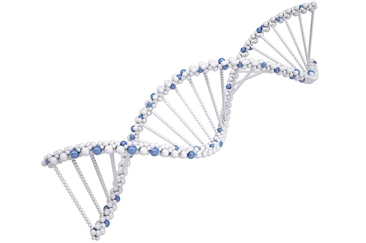 15aug genealogy dna testing img