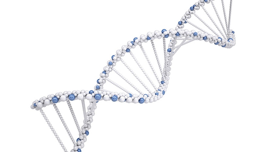 15aug genealogy dna testing img