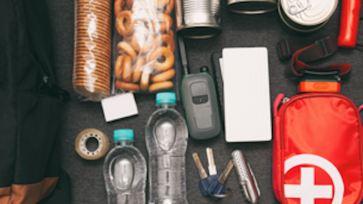 22sep living on a grab bag matiu somes island promo quarter