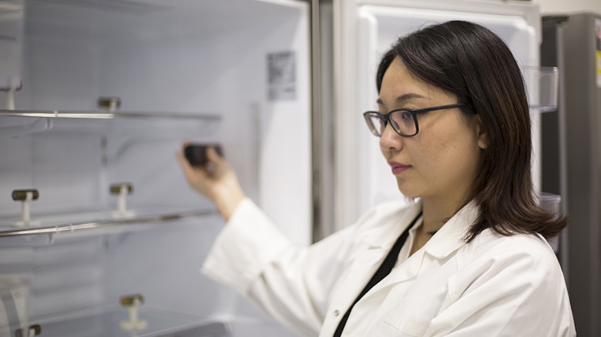 Hwt fridges jing copy width