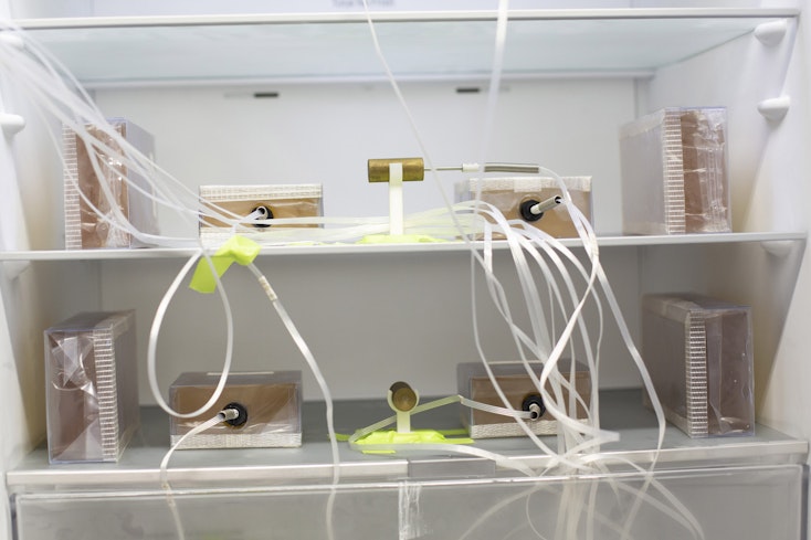 Uniformity testing 1h8a0527 copy width