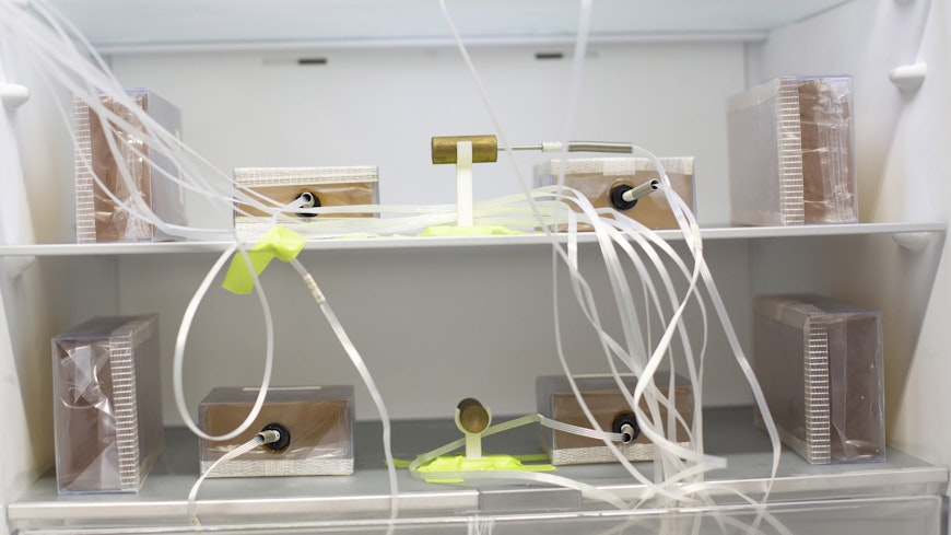 Uniformity testing 1h8a0527 copy width