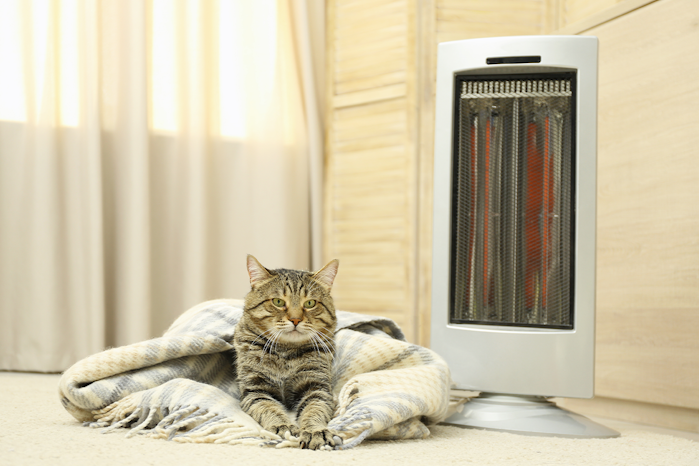 Panel, fan and oil heaters: What type of heater is best?