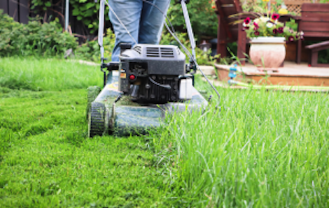Image of a lawnmower