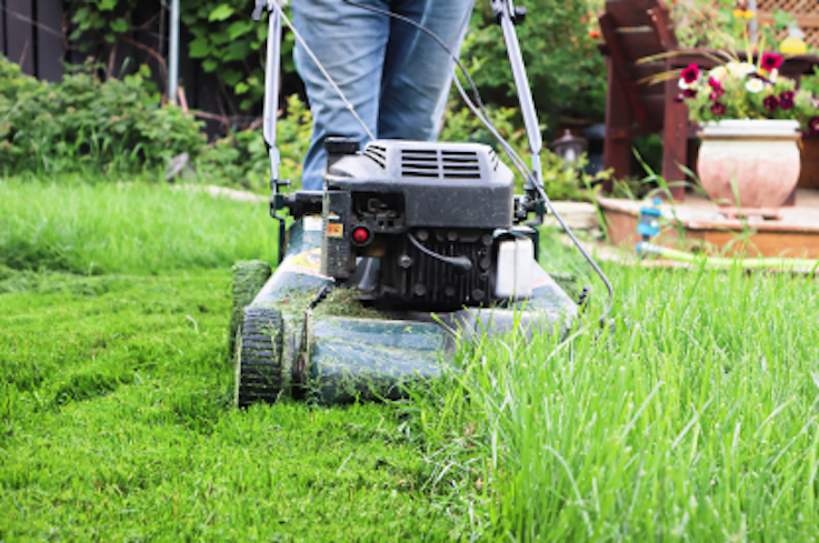 Medium image  416x276   1