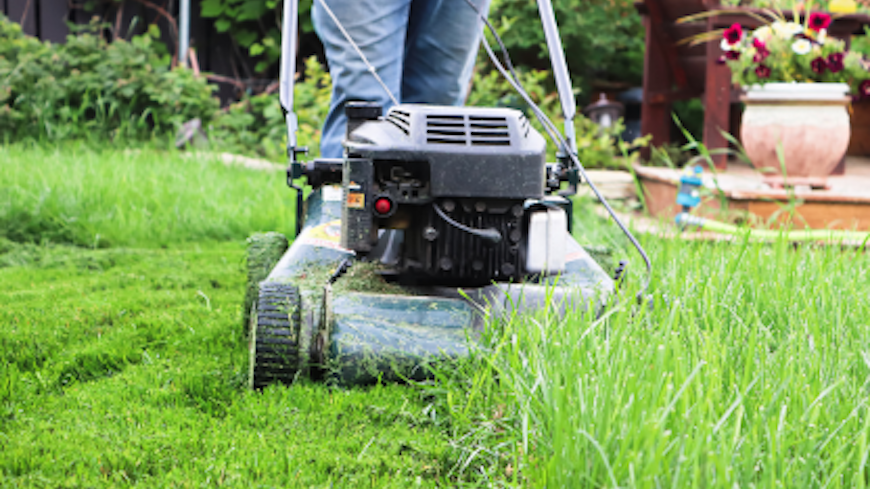 Medium image 416x276 1