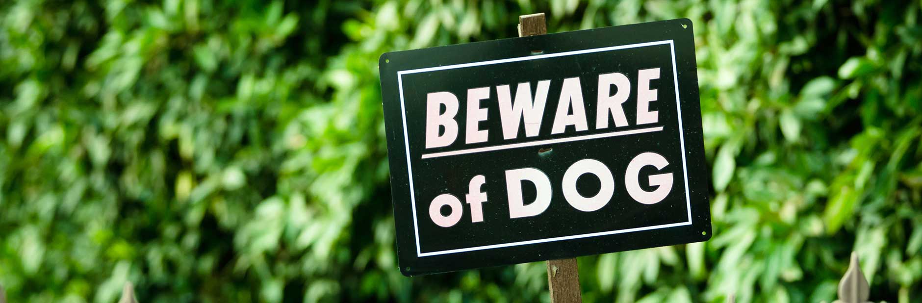 13dec homesecurity hero