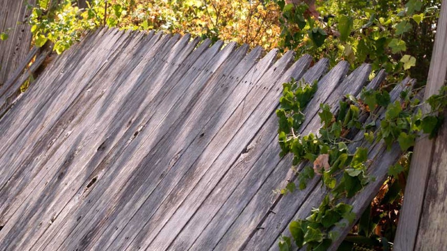 10may fencing law broken fence