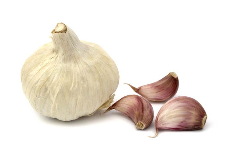 10may gardeningwithoutinsecticides garlic