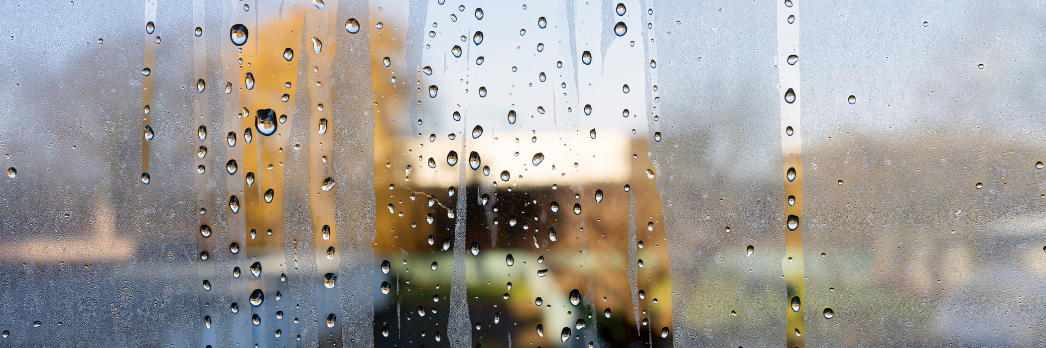 Condensation on a window.