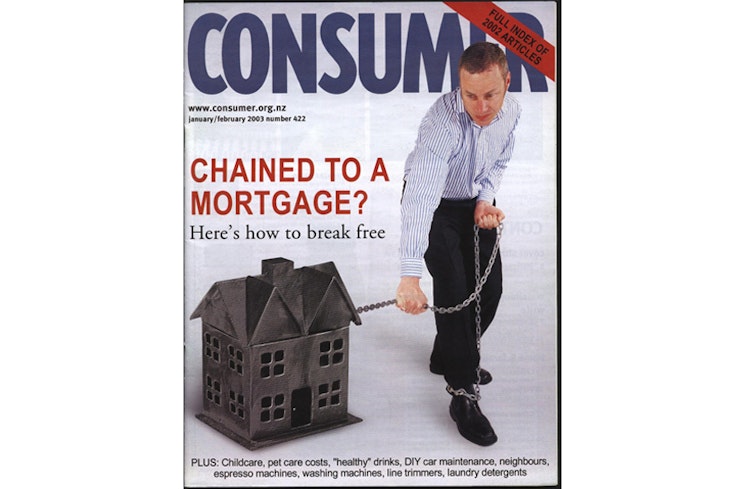 19oct consumer in the 00s janfeb 2003