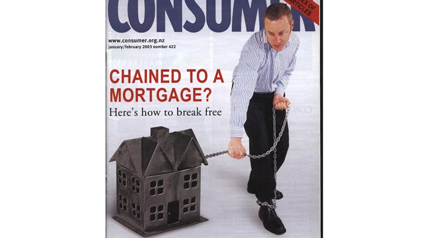 19oct consumer in the 00s janfeb 2003