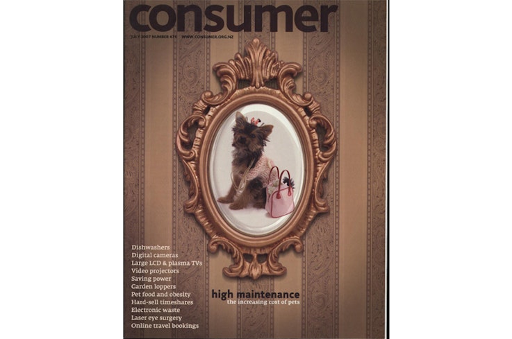 19oct consumer in the 00s july 2007