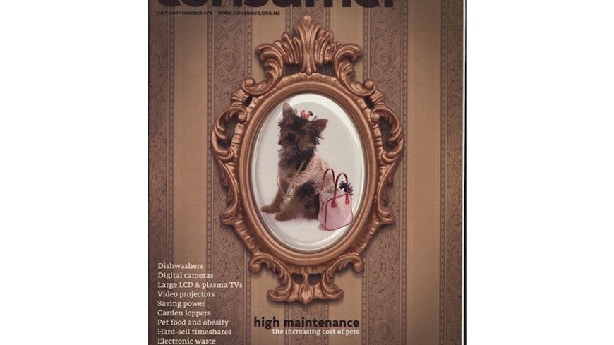 19oct consumer in the 00s july 2007