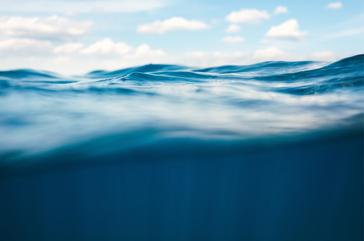 19oct consumer in the 00s december 2008