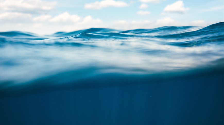 19oct consumer in the 00s december 2008