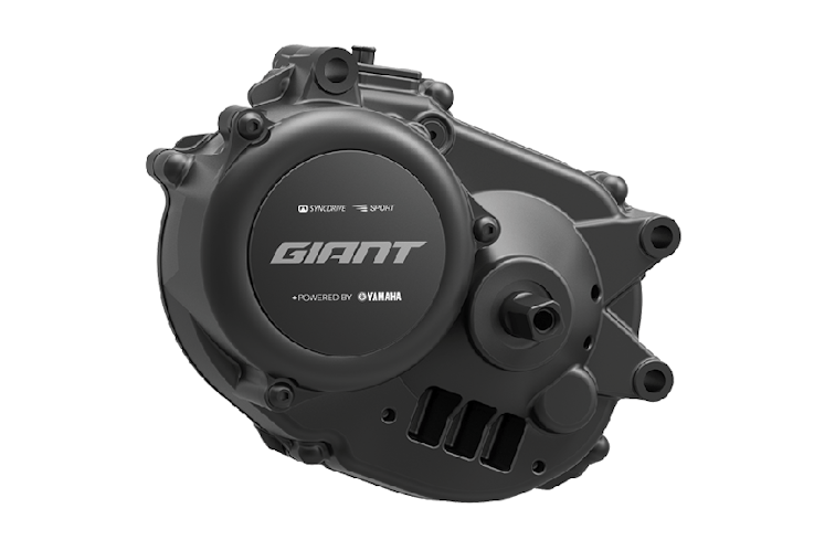 Giant syncdrive sport