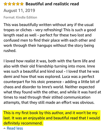 19dec fake online reviews review1