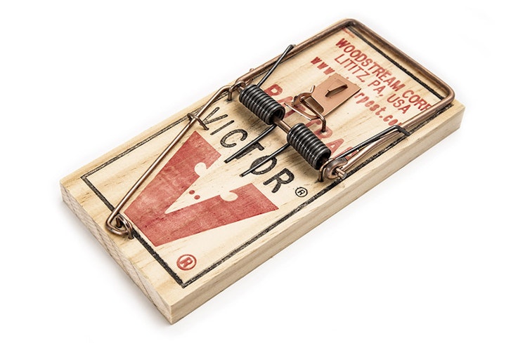 18jul rodent traps snap trap