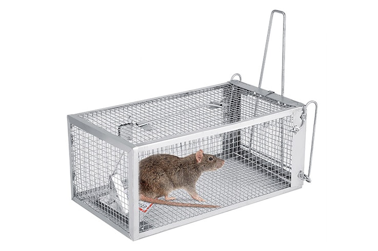 18jul rodent traps live trap