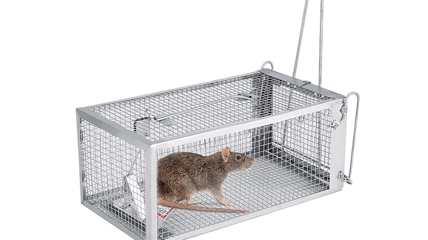 18jul rodent traps live trap