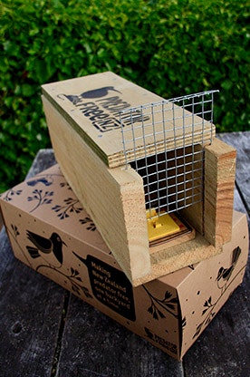 18jul rodent traps predator free portrait