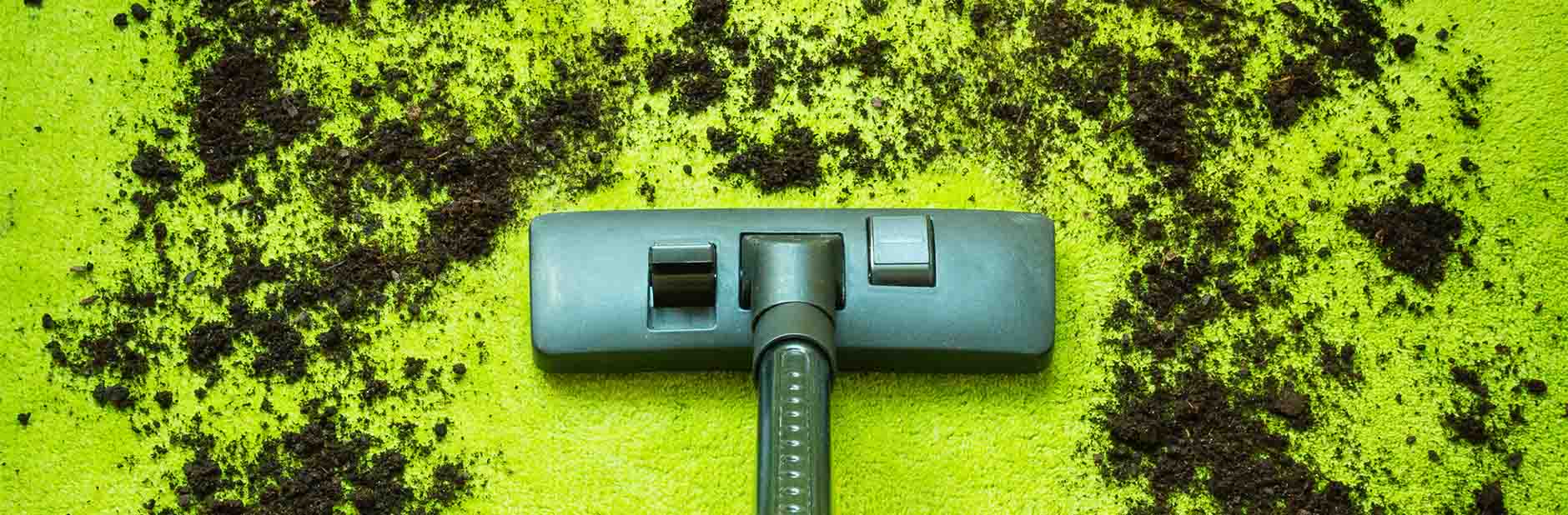 Vacuum cleaner head cleaning up dirt on green carpet.