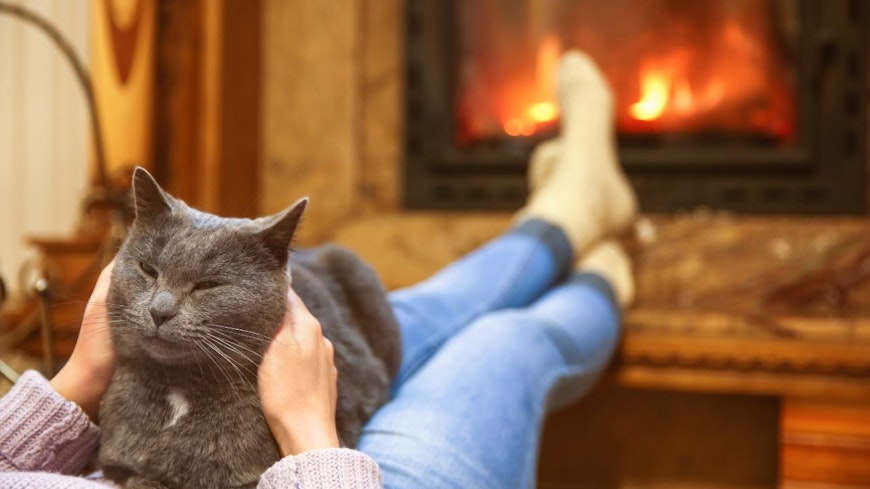 Image of a cat by the fireplace
