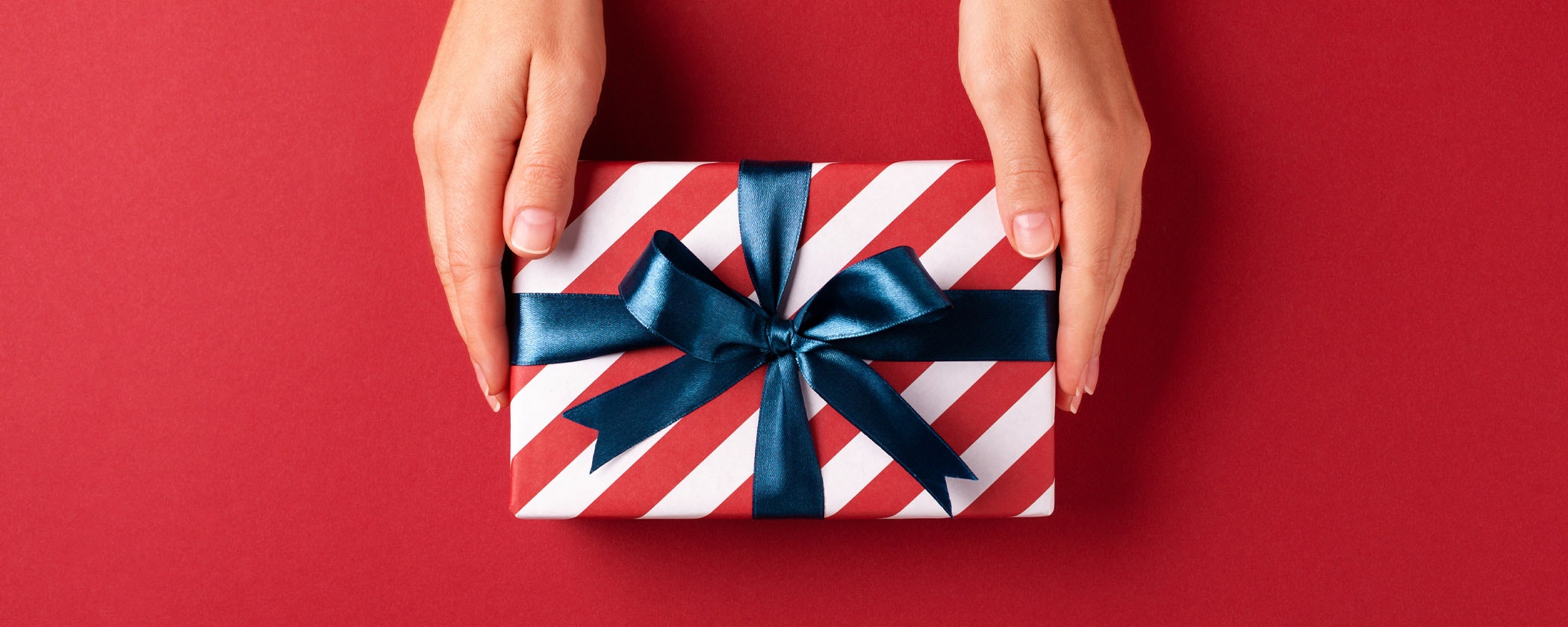 Xmas gift membership hero