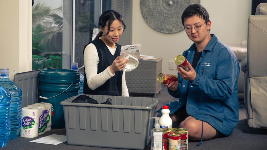 Emergency kit bee david