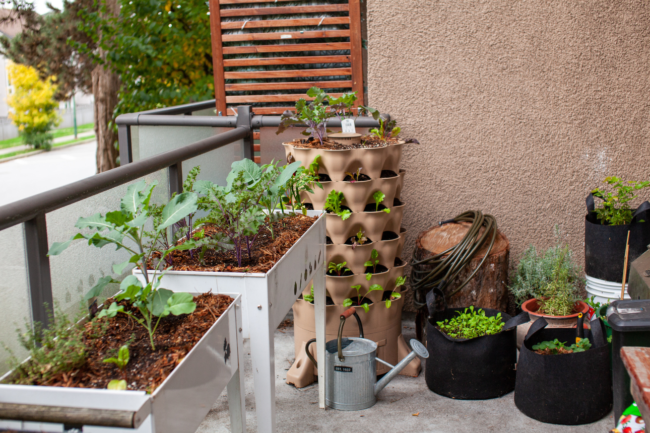Photo of small garden