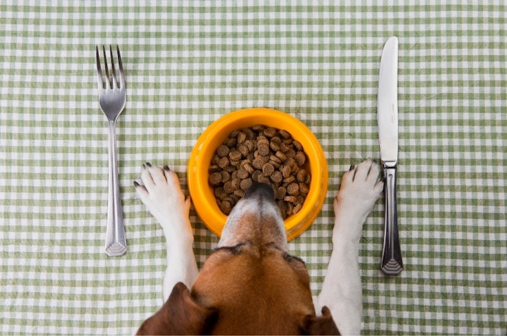 Pet food width