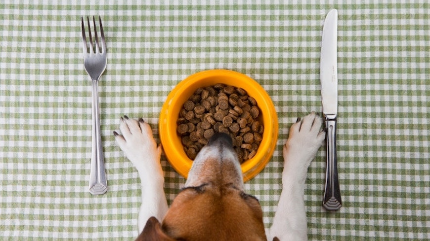 Pet food width