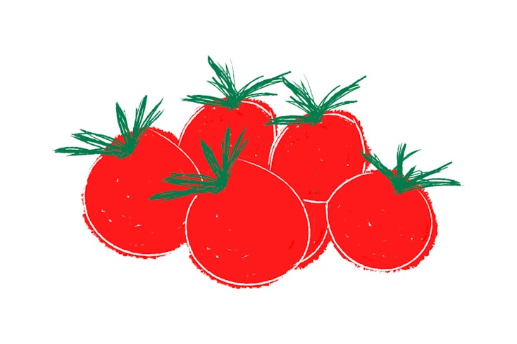 Tomatoes