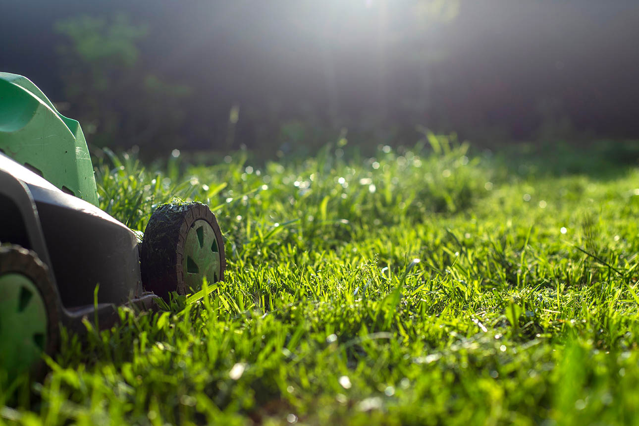 Your wins lawnmower promo