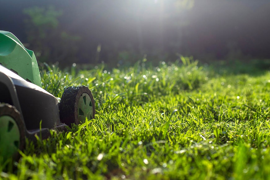 Your wins lawnmower promo