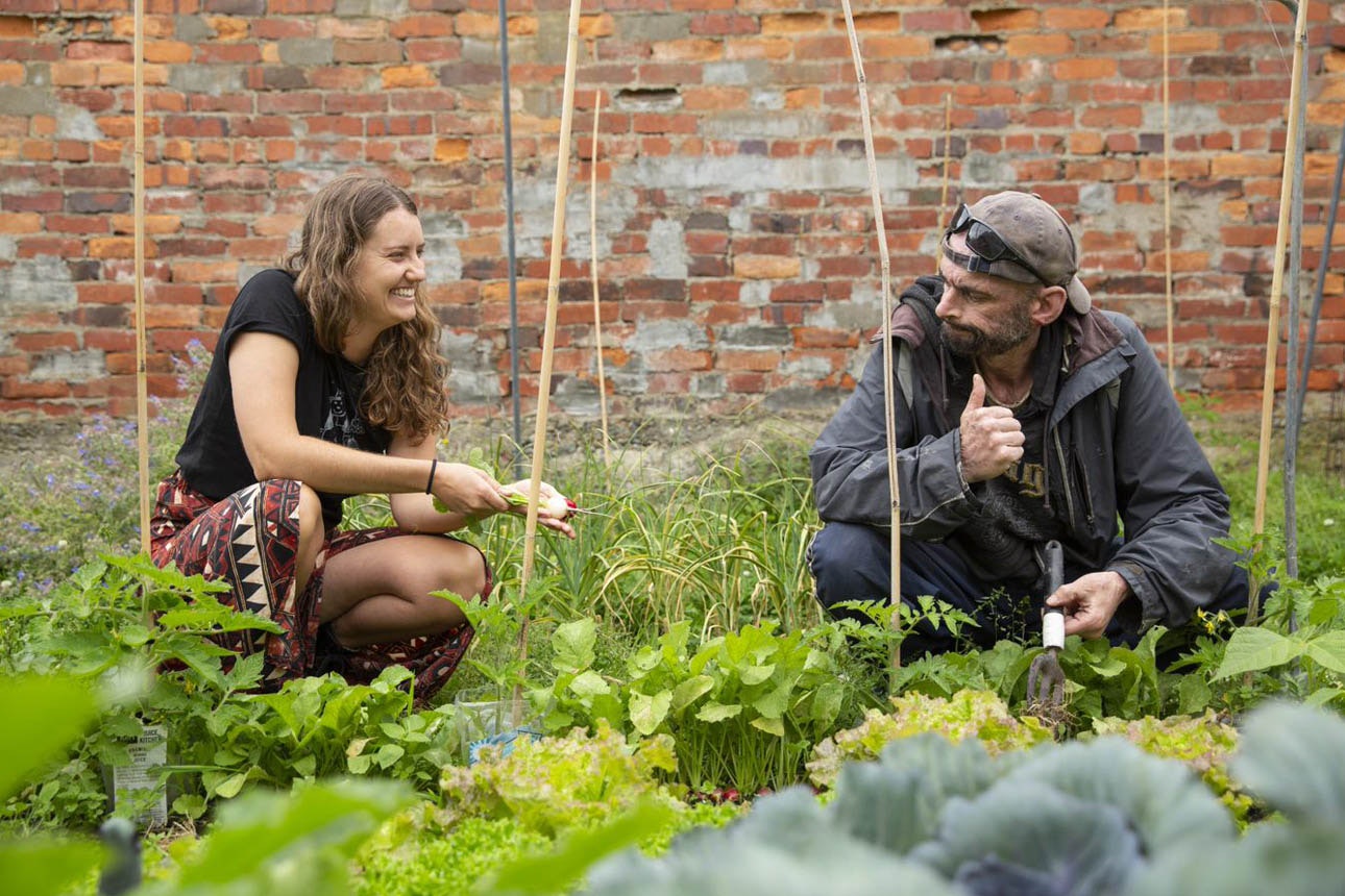 Image of two people gardening