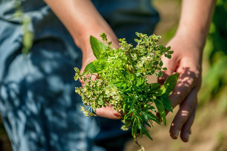 22aug do your herbs and spices contain arsenic cadmium or lead herb width