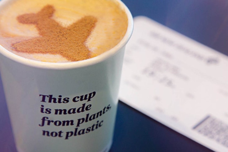 Plane cups airnz width