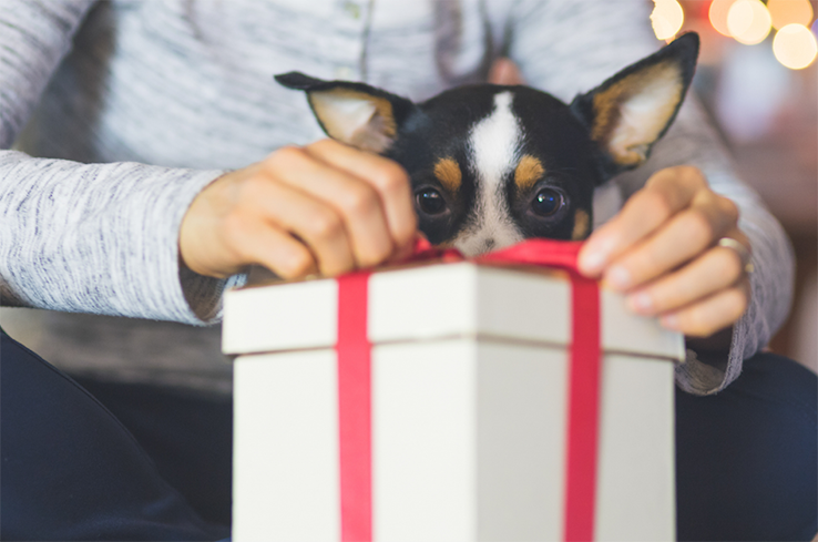 Best worst xmas gifts width