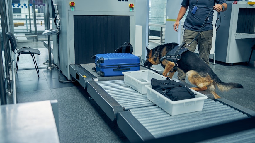 Adobestock 371943282 width