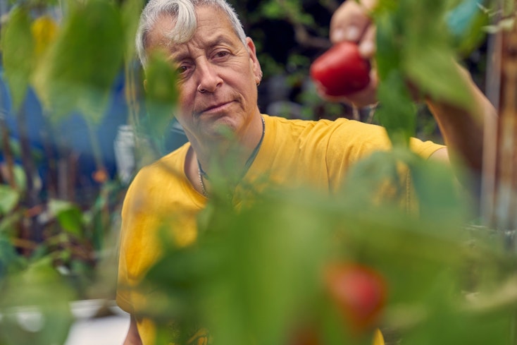 Website promo image 1290 x 860  27