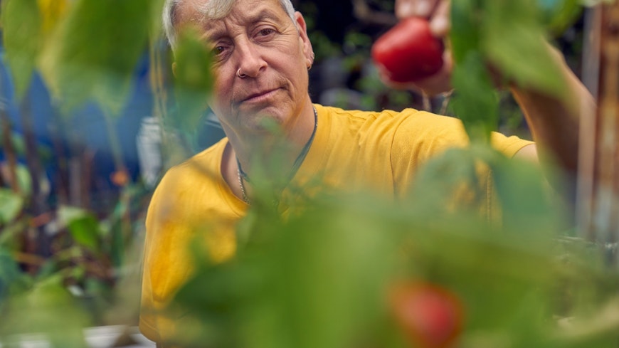 Website promo image 1290 x 860 27