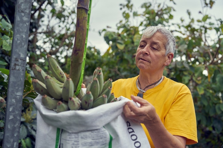 Website promo image 1290 x 860  34  width