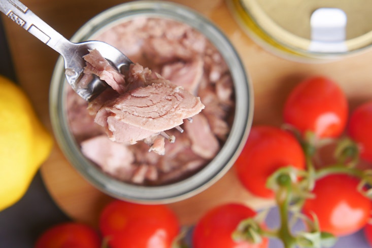 Adobestock 1141304100 width