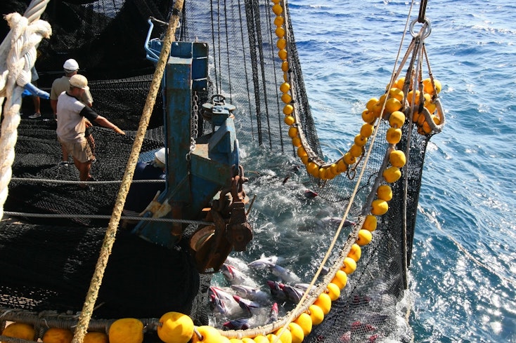 Adobestock 250718523 width