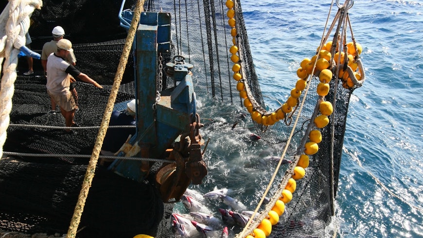 Adobestock 250718523 width