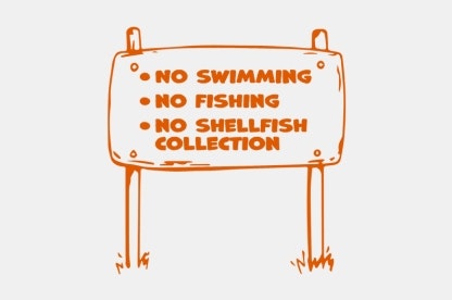 Medium image  416x276