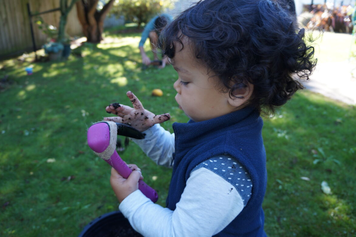 Website promo image 1290 x 860  16  width