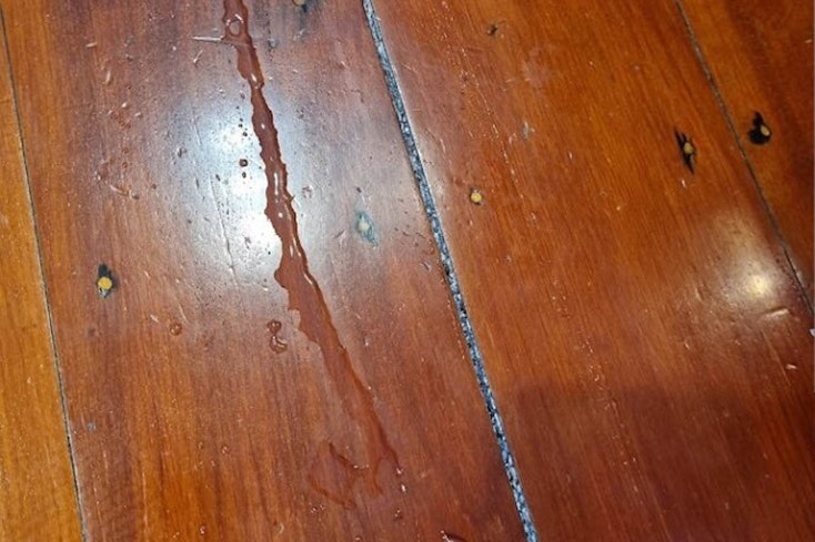 Image of water on wooden floor